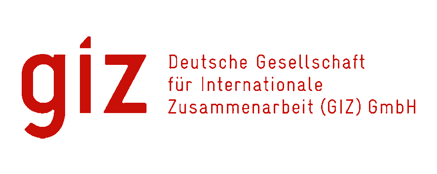 giz company logo